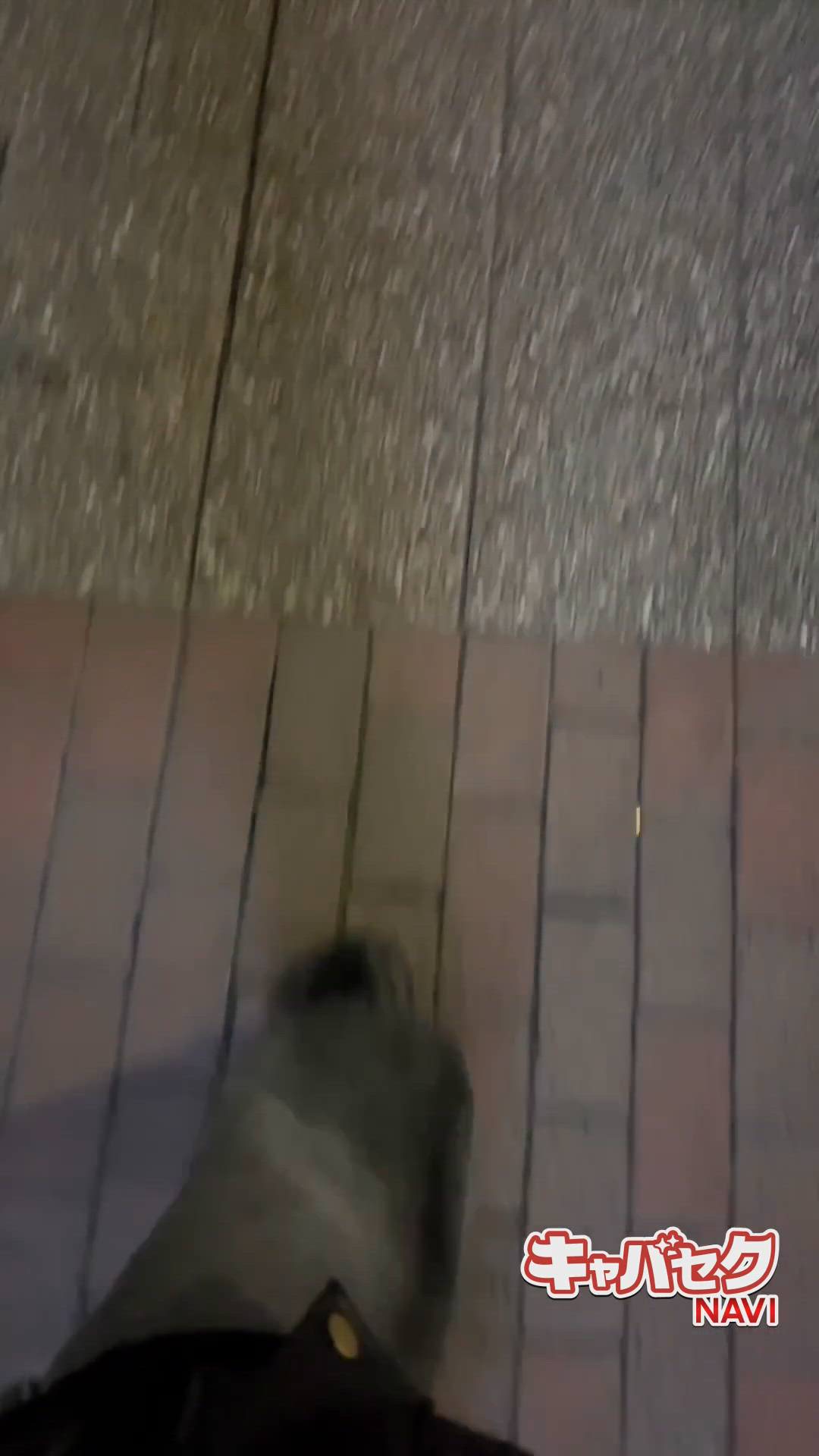 みつばちマーヤZ - みなみ動画サムネイル