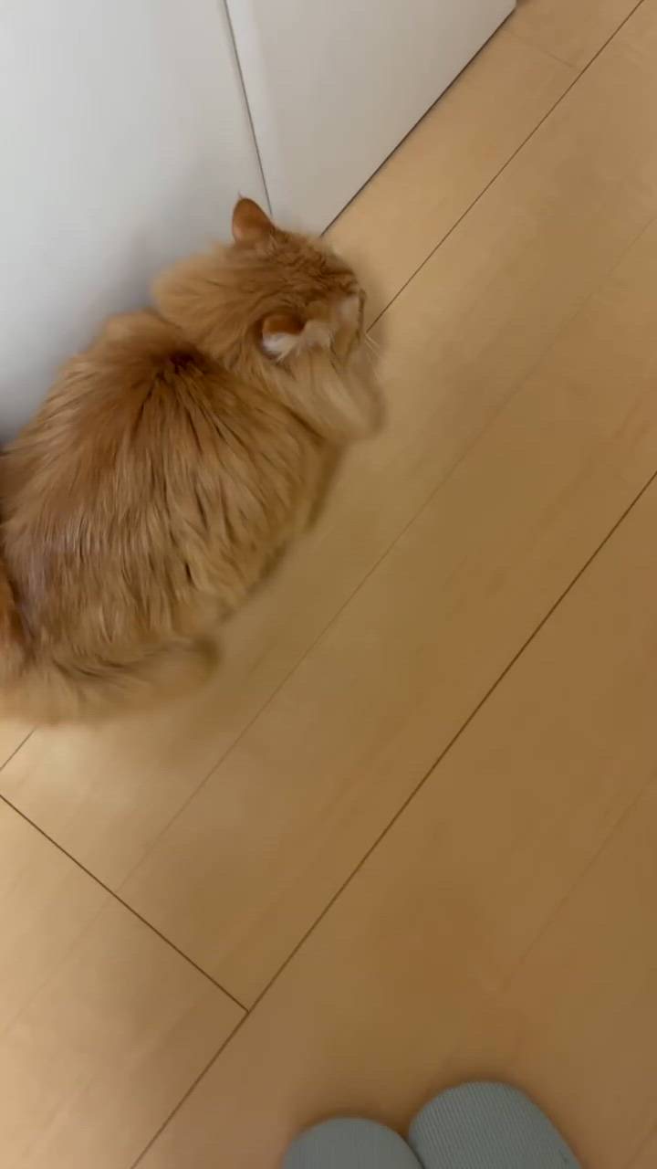 エマニエル秋葉原 - さくら動画サムネイル