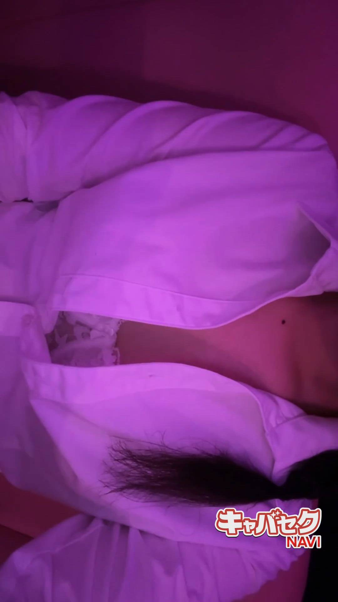 みつばちマーヤZ - ねお画像