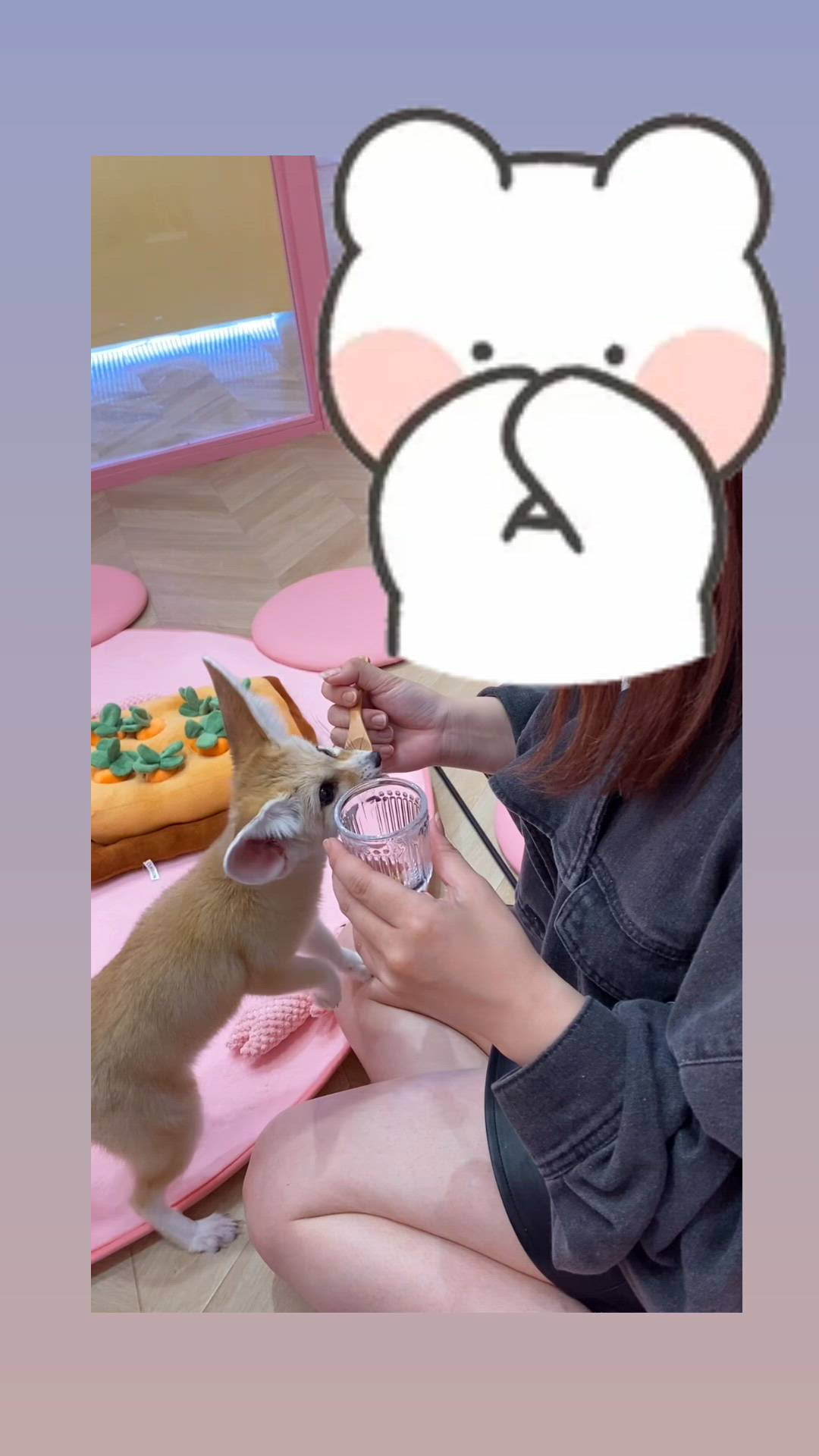 八王子 Bonny - もも動画サムネイル