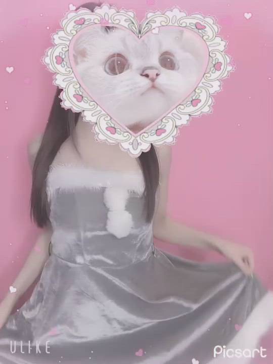 カルテ デイシフト - ゆゆ動画サムネイル