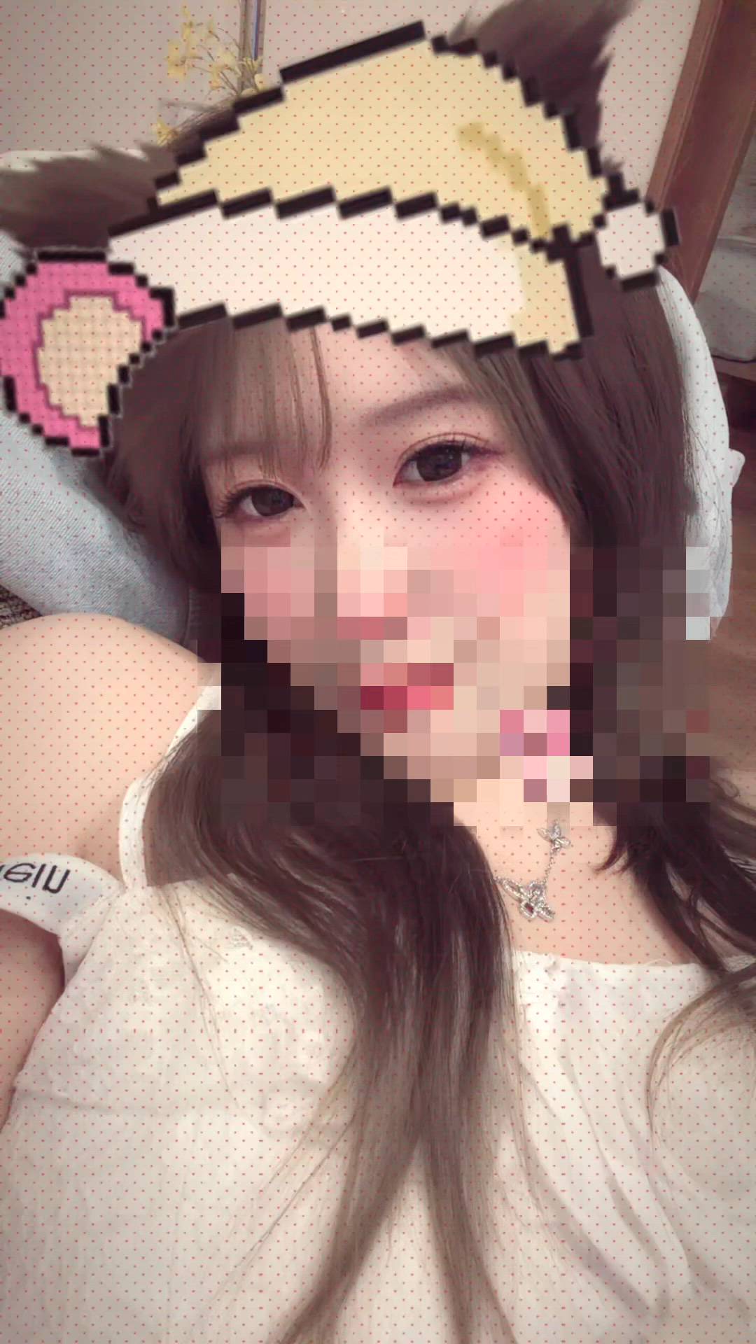 シナモン - きらり画像