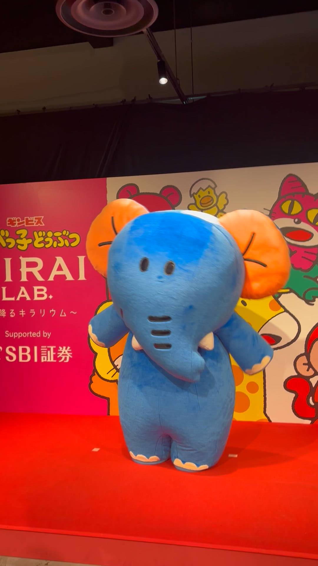 シナモン - もも動画サムネイル